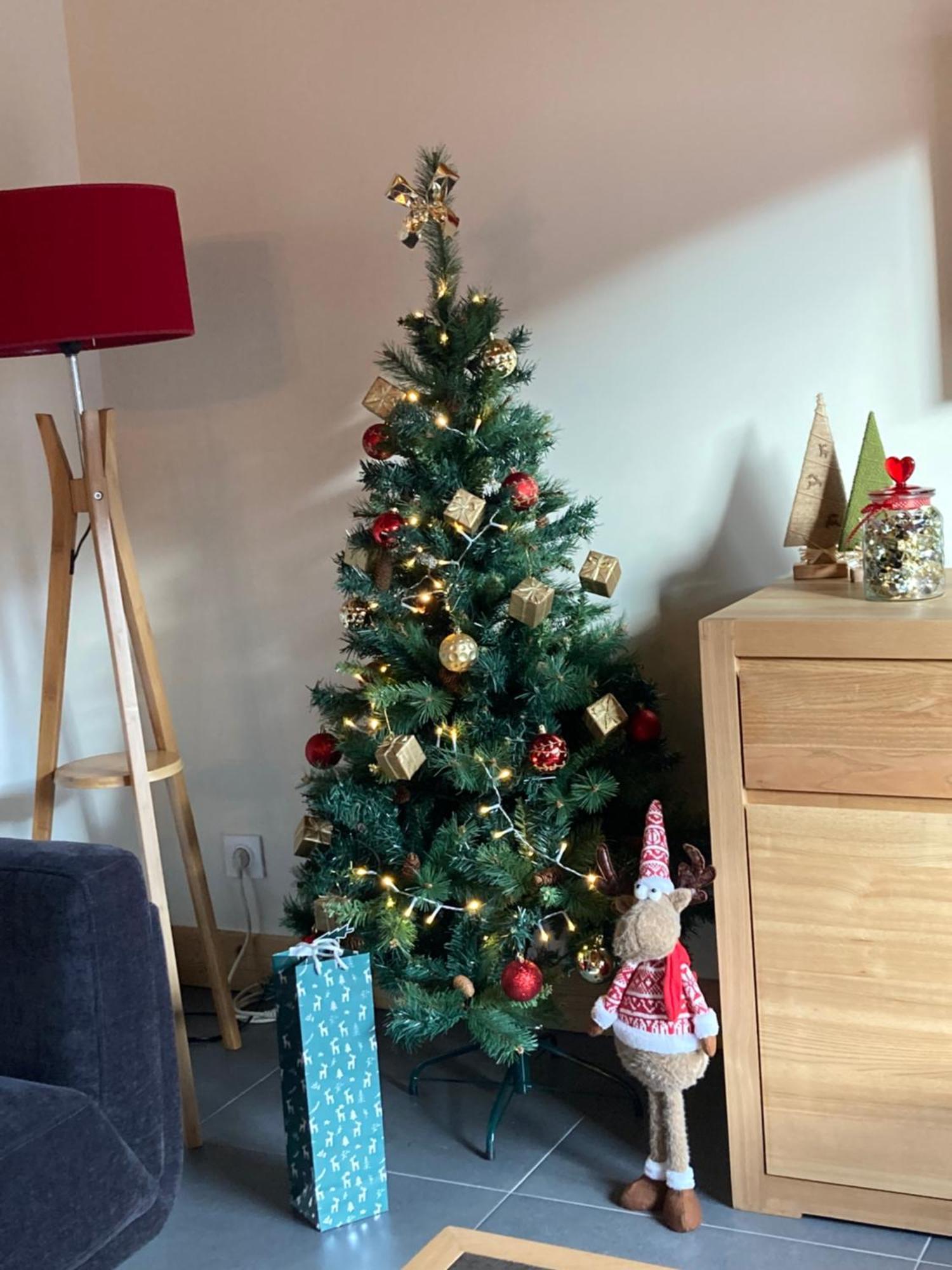 Appartement Reve De Montagne Samoëns Zewnętrze zdjęcie